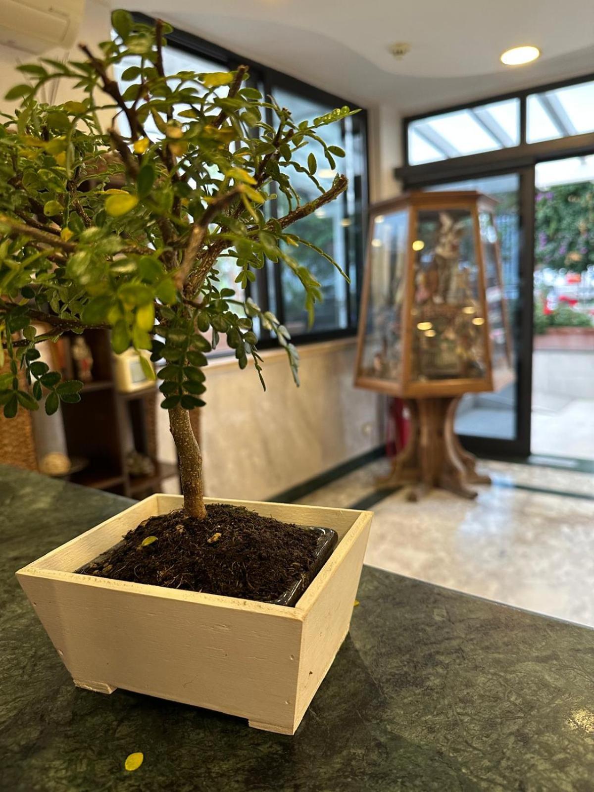 克林顿酒店 卡索里亚 外观 照片